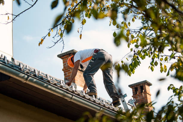 Best Roof Restoration Services  in Tellico Plains, TN