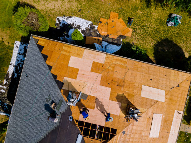 Tellico Plains, TN Roofing Contractor Company