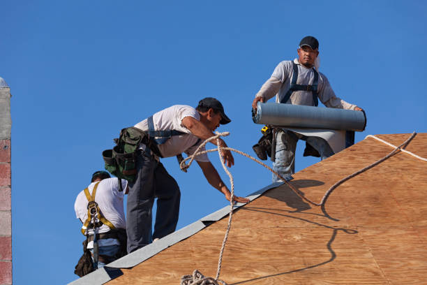 Best New Roof Installation  in Tellico Plains, TN